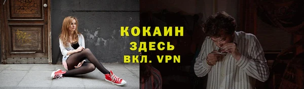 стаф Аша