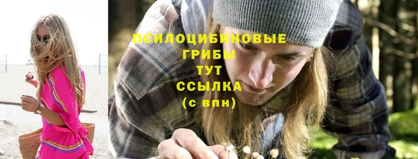 хмурый Бабаево