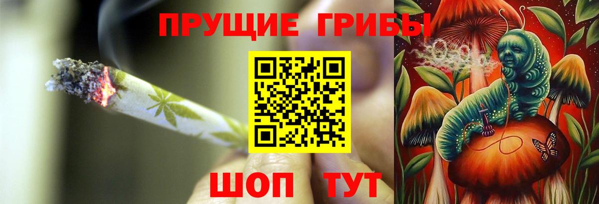 Псилоцибиновые грибы GOLDEN TEACHER  Вход с VPN  Дербент 